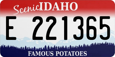ID license plate E221365