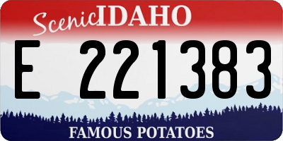 ID license plate E221383