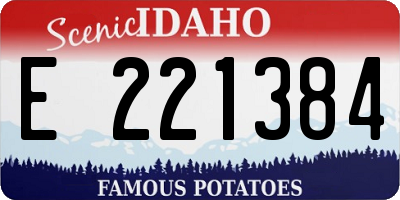 ID license plate E221384