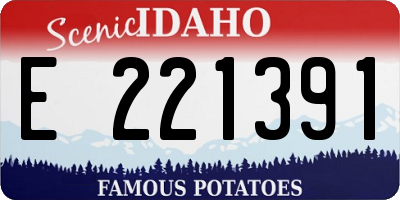 ID license plate E221391