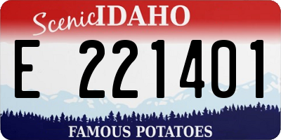 ID license plate E221401