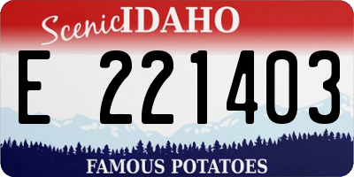 ID license plate E221403
