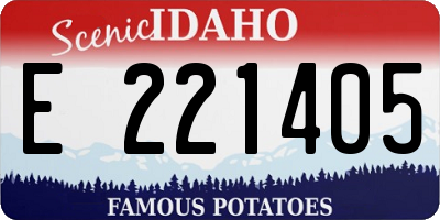 ID license plate E221405