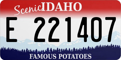 ID license plate E221407
