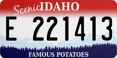 ID license plate E221413