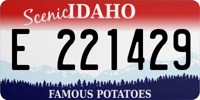 ID license plate E221429