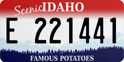 ID license plate E221441