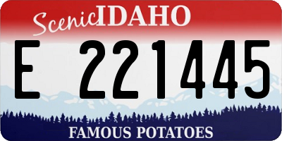 ID license plate E221445