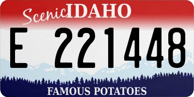 ID license plate E221448