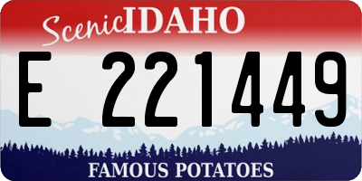 ID license plate E221449