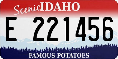 ID license plate E221456