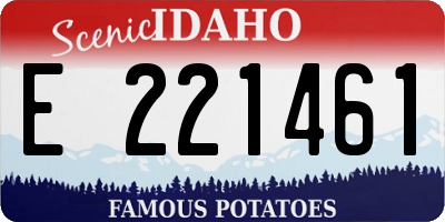 ID license plate E221461