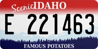 ID license plate E221463