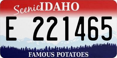 ID license plate E221465