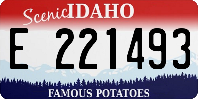 ID license plate E221493