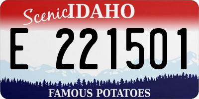 ID license plate E221501