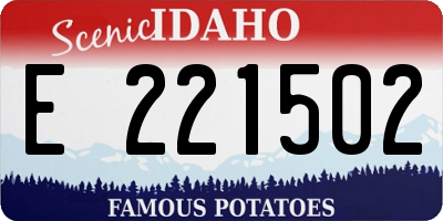 ID license plate E221502