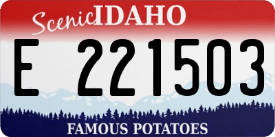ID license plate E221503
