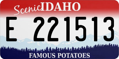 ID license plate E221513