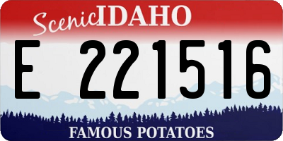 ID license plate E221516