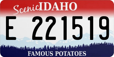 ID license plate E221519