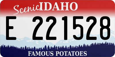 ID license plate E221528