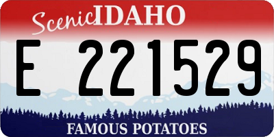 ID license plate E221529