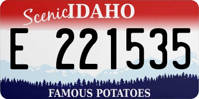 ID license plate E221535