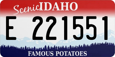 ID license plate E221551