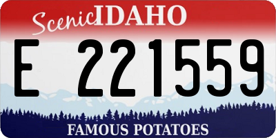 ID license plate E221559