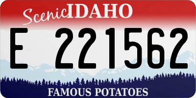 ID license plate E221562