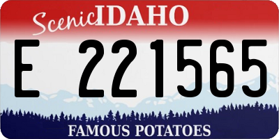 ID license plate E221565