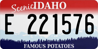 ID license plate E221576
