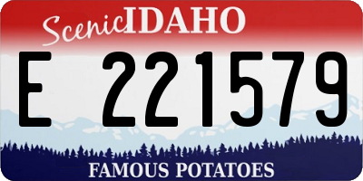 ID license plate E221579
