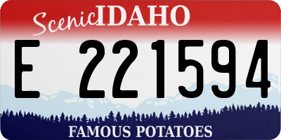 ID license plate E221594