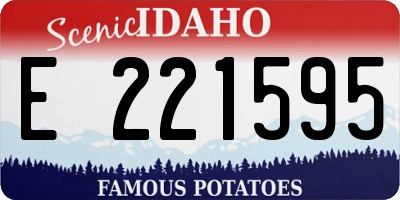 ID license plate E221595