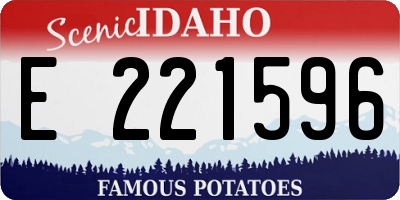 ID license plate E221596