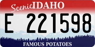 ID license plate E221598