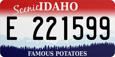 ID license plate E221599
