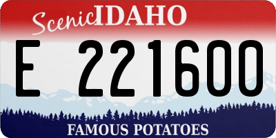 ID license plate E221600