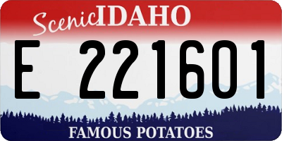 ID license plate E221601