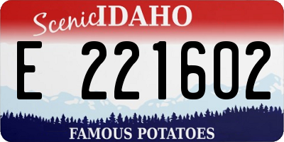 ID license plate E221602