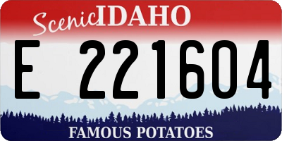 ID license plate E221604