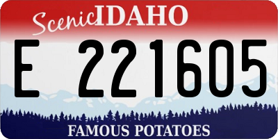 ID license plate E221605