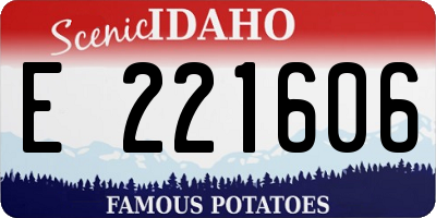 ID license plate E221606