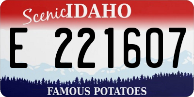 ID license plate E221607