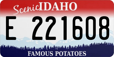 ID license plate E221608