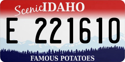 ID license plate E221610