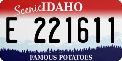 ID license plate E221611