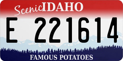 ID license plate E221614